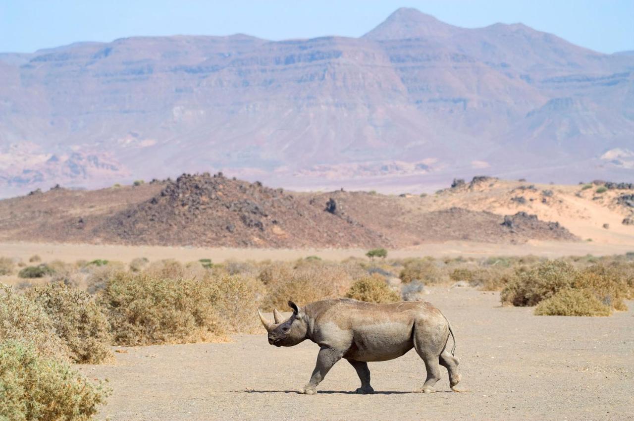 Vila Wilderness Safaris Doro Nawas Twyfelfontein Exteriér fotografie